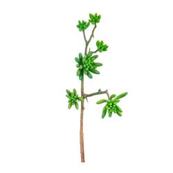 (АКЦИЯ) Цветок 44см Суккулент зел. /375-059/Lefard/