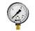 Манометр радиальный WATTS 100 мм 0-16 бар 1/2"