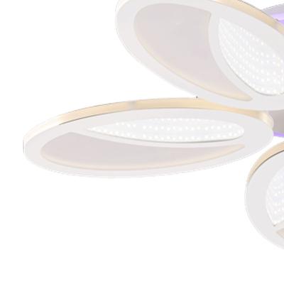 Люстра ЛАЙТ СФЕРА 1853/5 White Белый