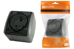 Розетка сетевая TDM Селигер с заземлением серый SQ1818-0107