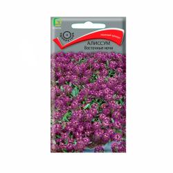 Алиссум ПОИСК Восточные ночи 0,3 г