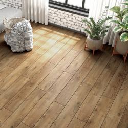 Ламинат AGT Effect Premium 913 Дуб atlas 1195*189*12 мм