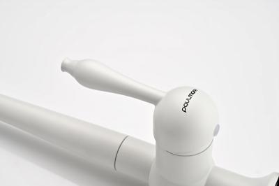 Смеситель для кухни PAULMARK Retro Re213226-431