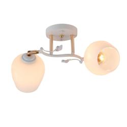 Люстра СФЕРА СВЕТА 07074/2 White+FGD Белый