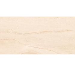 Плитка базовая ABSOLUT GRES Diana Silver матовая 60*120 см