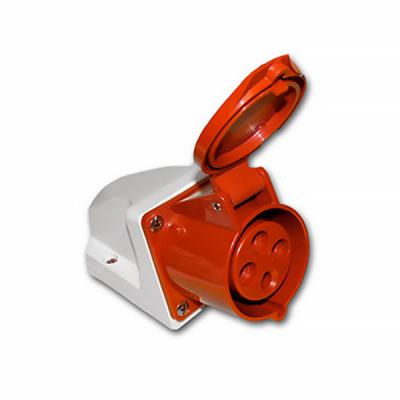 Розетка стационарная TDM ССИ-124 3Р+РE