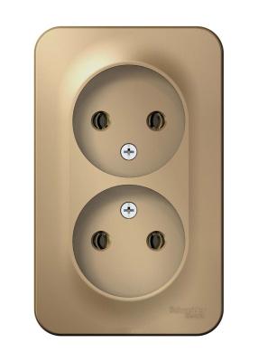 Розетка SYSTEME ELECTRIC Blanca двойная титан BLNRA000214