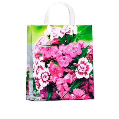 Пакет 26*23см с пласт. ручками/0167-127/Антелла/