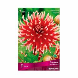 Георгина ПОИСК Фриколе 30 г