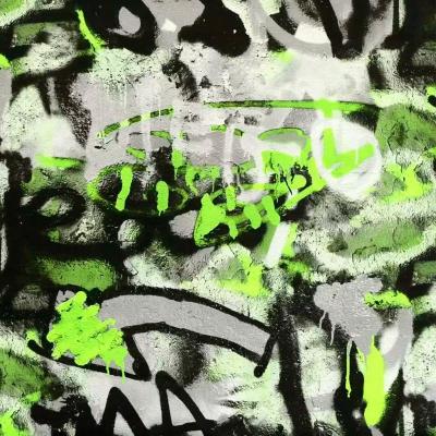 Обои ERISMANN Neon 60404-02