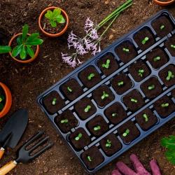 Кассета для рассады 530*320*60 мм 28 ячеек