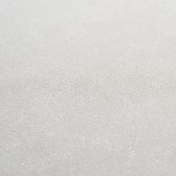 Обои ATELIERO Rinaldi 285641