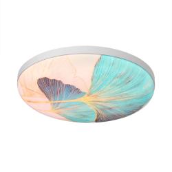 Светильник СОНЕКС Floren 7747/DL Белый