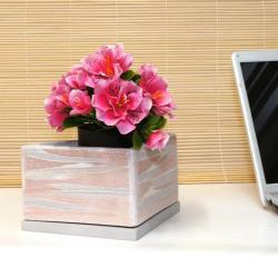 Горшок керамический САДЫ АУРИКИ Светлый 0,9 л