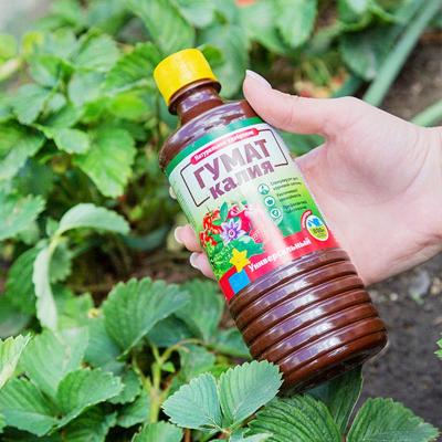 Удобрение органическое БИОМАСТЕР Гумат калия универсальное 1000 мл