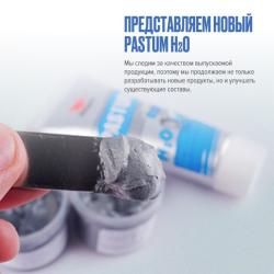 Паста для льна ВМПАВТО Pastum H2O 25 г