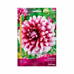 Георгина ПОИСК Пэтчиз 0,75 г