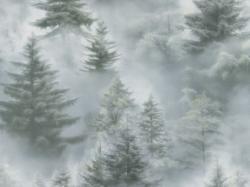 Обои ПАЛИТРА Ultrachrome 72551-71 HC