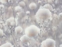 Обои ПАЛИТРА Cottonia 72543-41 PL