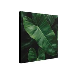 Картина печат. на дер.подрамнике 40*40 Зелёный лист /1-138/Симфония/