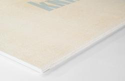 ГВЛВ KNAUF 2500*1200*12,5 мм