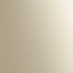 Профиль Т-образный ЛУКА ЛС 10 Анод шампань 042 2,7 м 