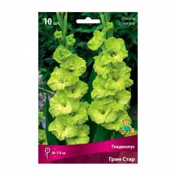 Гладиолус ПОИСК Грин стар 10 шт