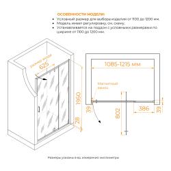 Душевая дверь RGW РА-008 В 110 см