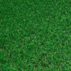 Газон ЗЕЛЕНЫЙ УГОЛОК Садово-парковый 10 кг