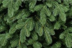 Ель искусственная ЦАРЬ-ЕЛКА Афродита 1,5 м 