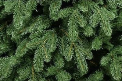 Ель искусственная ЦАРЬ-ЕЛКА Афродита 1,8 м 