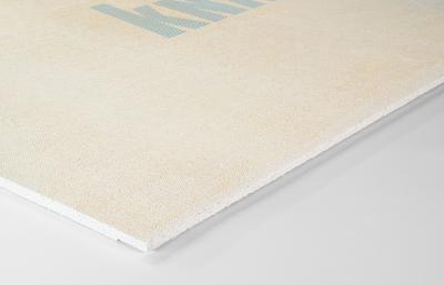 ГВЛВ KNAUF 2500*1200*10 мм ГВЛВ KNAUF 2500*1200*10 мм