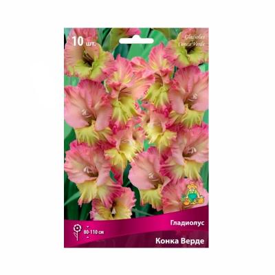 Гладиолус ПОИСК Конка верде 10 шт