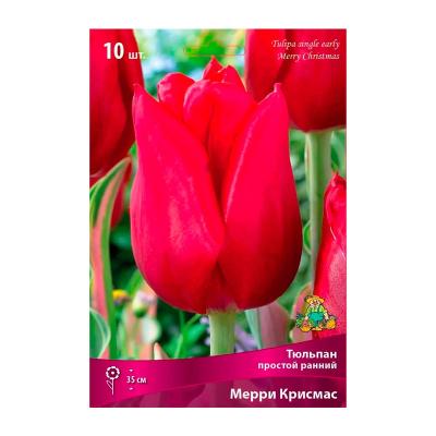 Тюльпан ПОИСК Мерри крисмас 10 шт