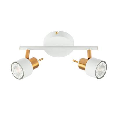 Спот ARTE LAMP Almach A1906PL-2WH Белый