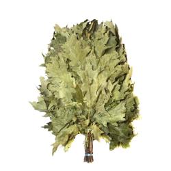 Веник для бани Дуб канадский