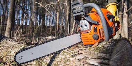 Рейтинг бензопил 2025: выбираем лучшие модели