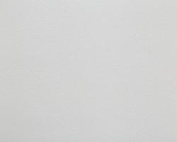 Обои ПАЛИТРА Monochrome 71822-41 HC 