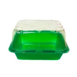 Парник на подоконник 210*160*65 мм