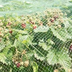 Сетка для защиты от птиц PARK 2000*5000 мм