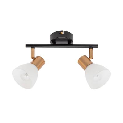 Спот ARTE LAMP Falena A3117PL-2BK Черный