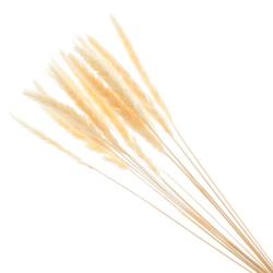 Ветвь "Сухоцвет" 67 см  наб.15шт /788853/РЕМЕКО/