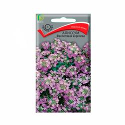 Алиссум ПОИСК Фиолетовая королева 0,3 г