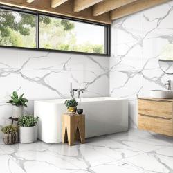 Плитка базовая ARCADIA CERAMICA Nuvo Statuario 60*60 см