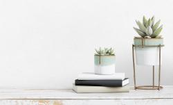 Обои ATELIERO Tempo 287251 