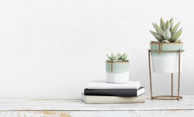 Обои ATELIERO Tempo 287251 