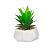 Кашпо Алоэ 12*12*15см /Rio1/Вещицы/