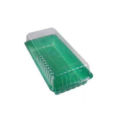 Парник на подоконник 390*160*65 мм