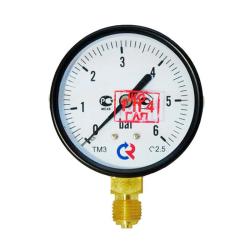 Манометр радиальный РОСМА TM-510P 100 мм 0-6 бар 1/2"