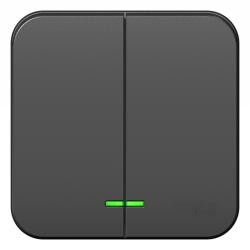 Выключатель SYSTEME ELECTRIC Blanca 2 клавиши с подсветкой антрацит BLNVA105116